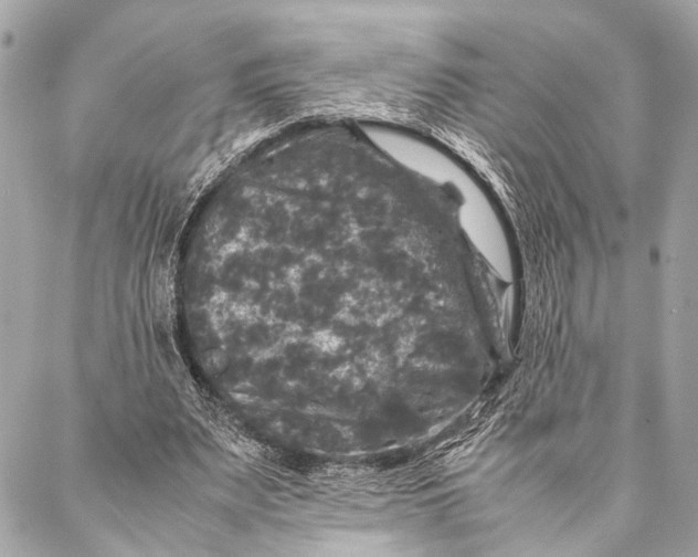 X0000087020487200705071513