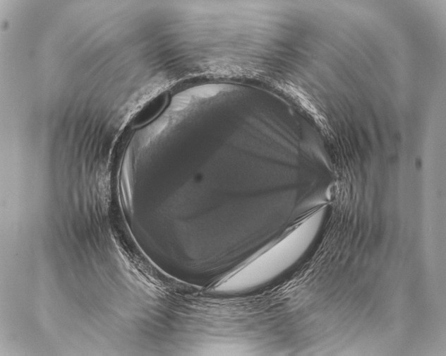 X0000087020488200705071513