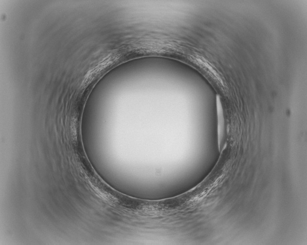 X0000087020489200705071513