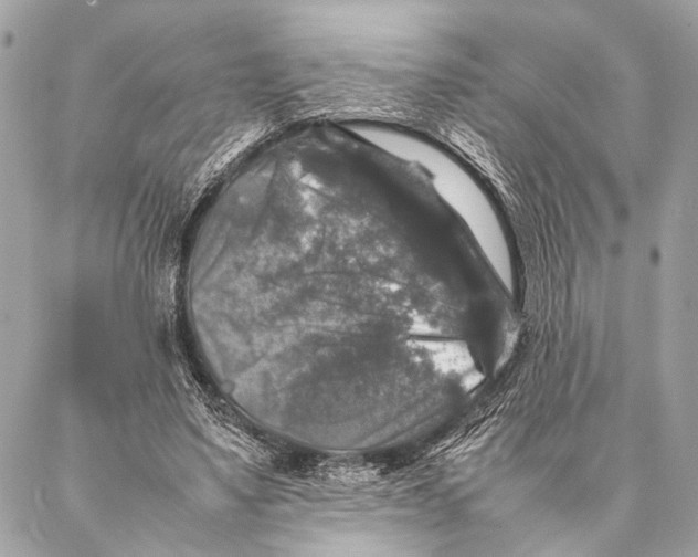 X0000087020491200705071513