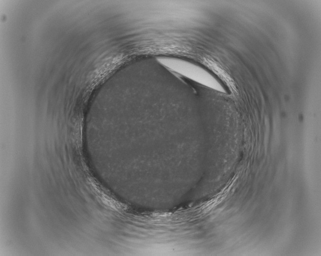 X0000087020493200705071513