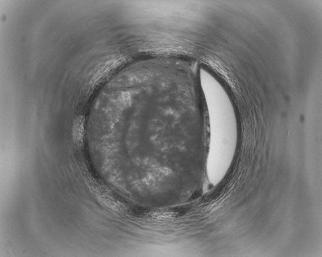 X0000087020495200705071513