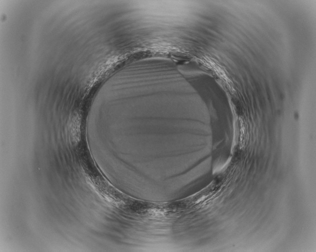 X0000087020496200705071513