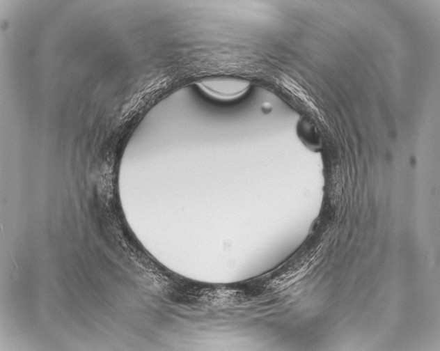 X0000087020497200705071513