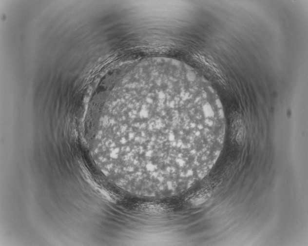 X0000087020498200705071513