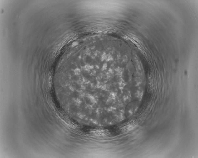 X0000087020499200705071513