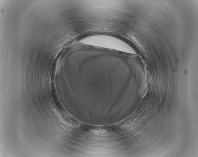 X0000087020500200705071513