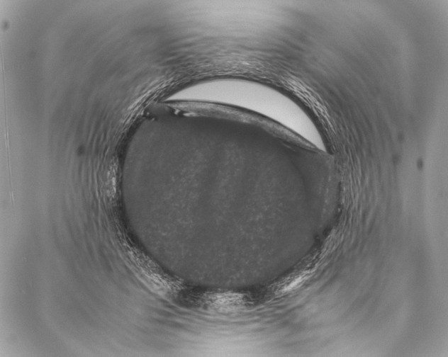 X0000087020501200705071513