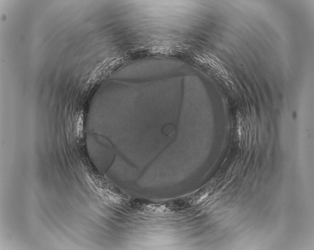 X0000087020502200705071513