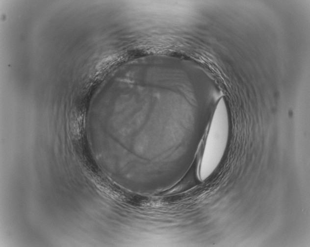 X0000087020503200705071513