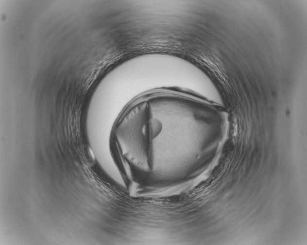 X0000087020504200705071513