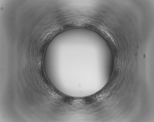 X0000087020505200705071513