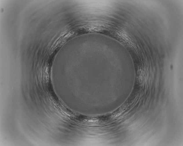 X0000087020506200705071513