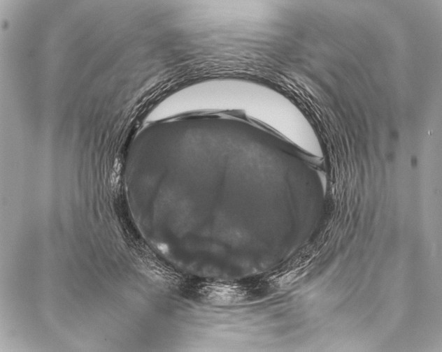 X0000087020507200705071513