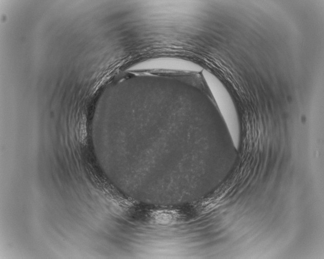 X0000087020508200705071513