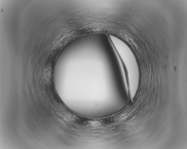 X0000087020509200705071513