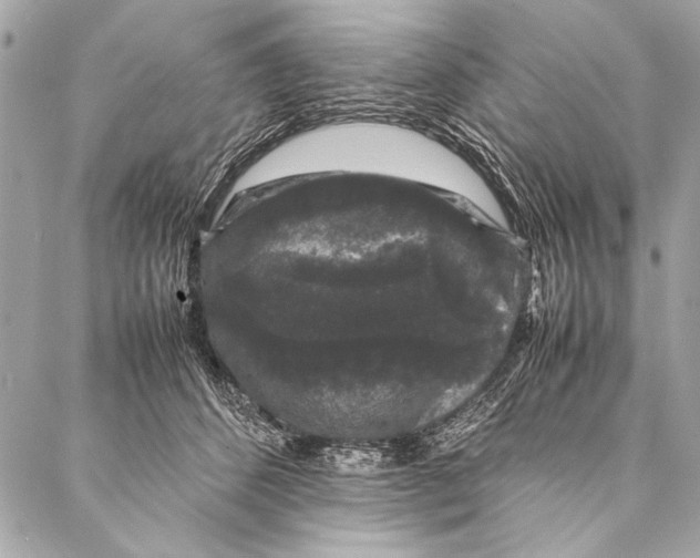 X0000087020512200705071513