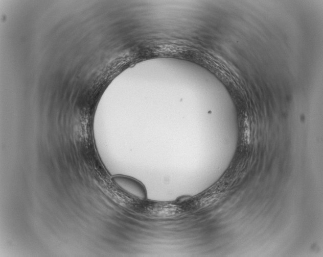 X0000087020514200705071513