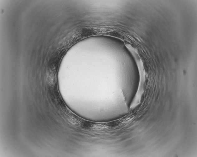 X0000087020515200705071513