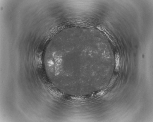 X0000087020516200705071513