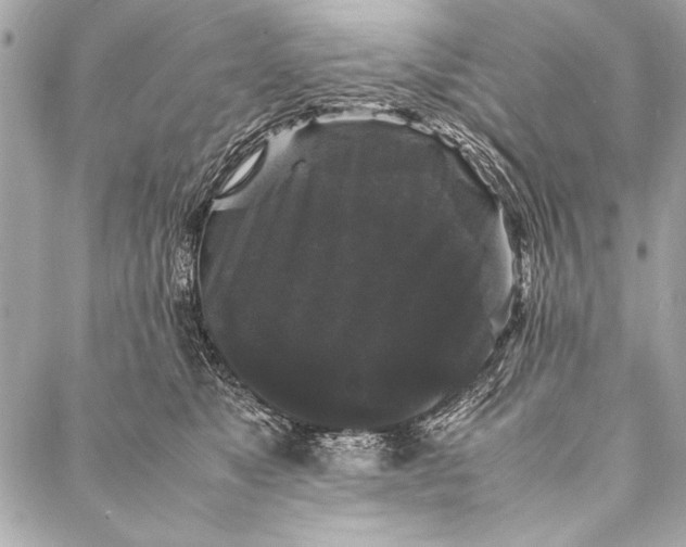 X0000087020517200705071513