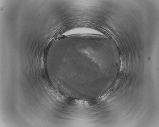 X0000087020520200705071513