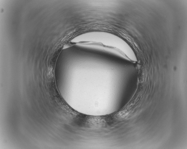 X0000087020521200705071513