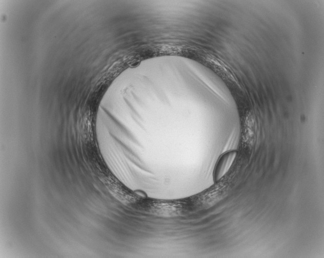 X0000087020522200705071513