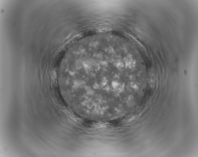 X0000087020523200705071513