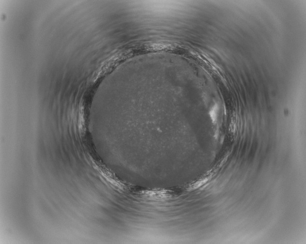 X0000087020524200705071513