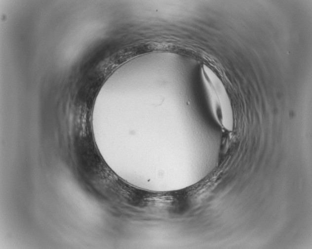 X0000087020525200705071513