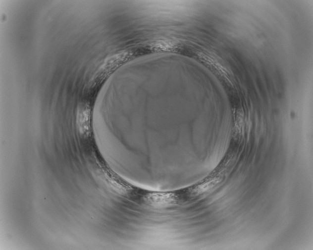 X0000087020526200705071513