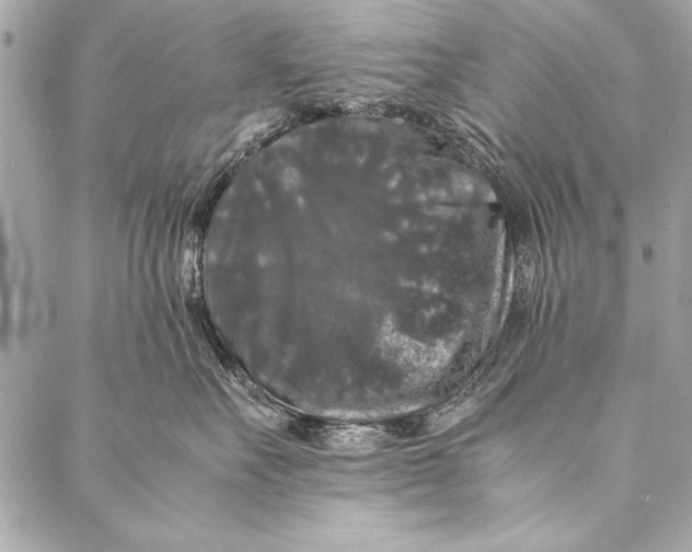 X0000087020527200705071513