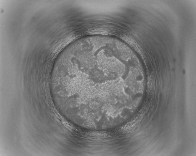 X0000087020529200705071512