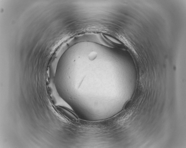 X0000087020530200705071512