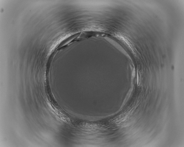 X0000087020531200705071512