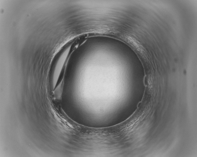 X0000087020532200705071512