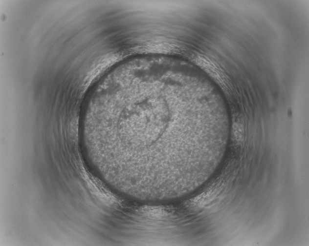 X0000087020534200705071512