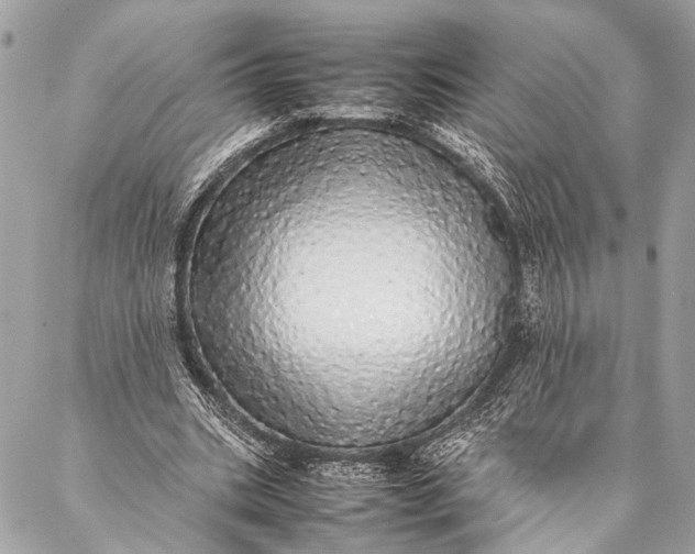 X0000087020535200705071512