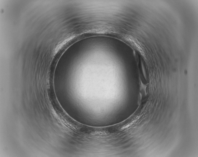 X0000087020536200705071512