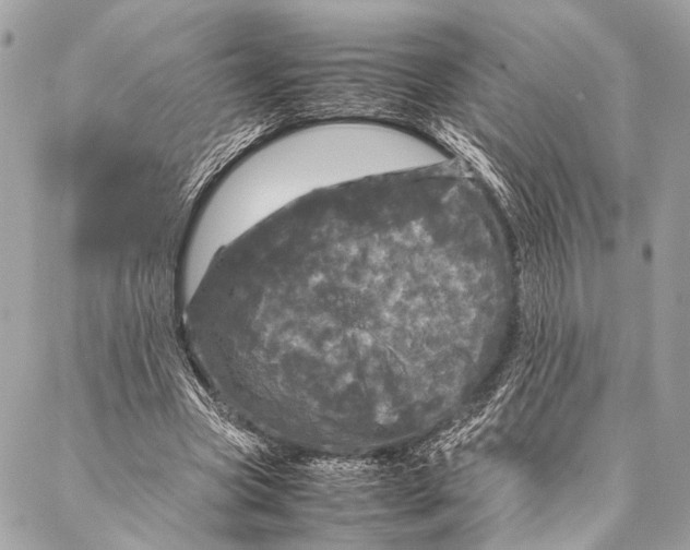 X0000087020537200705071512