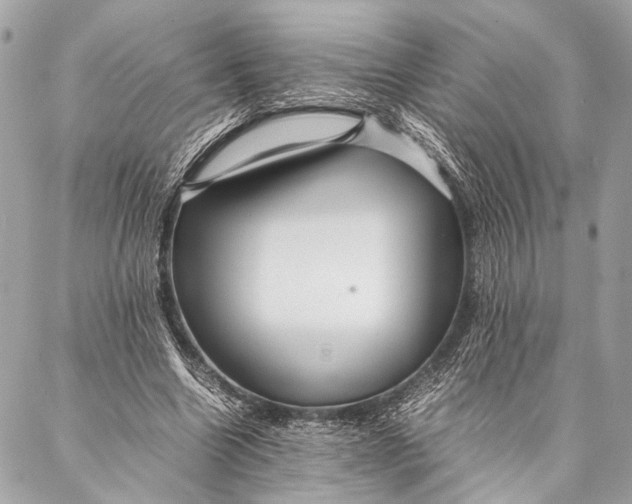 X0000087020538200705071512