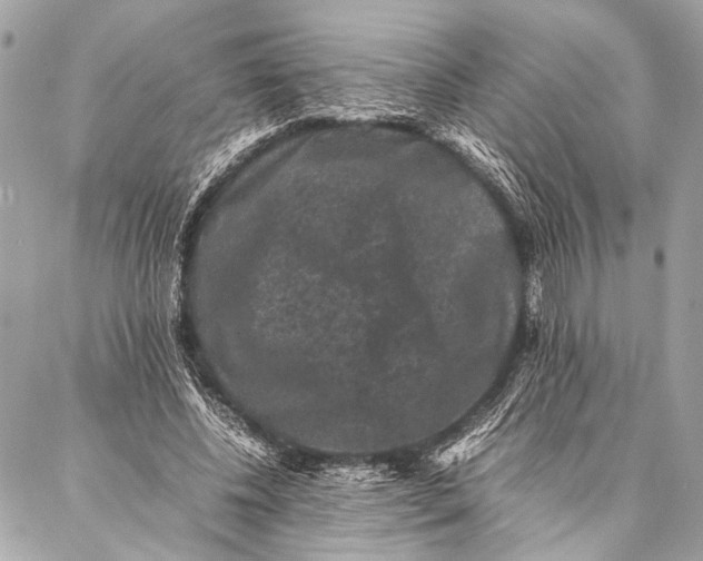 X0000087020540200705071512