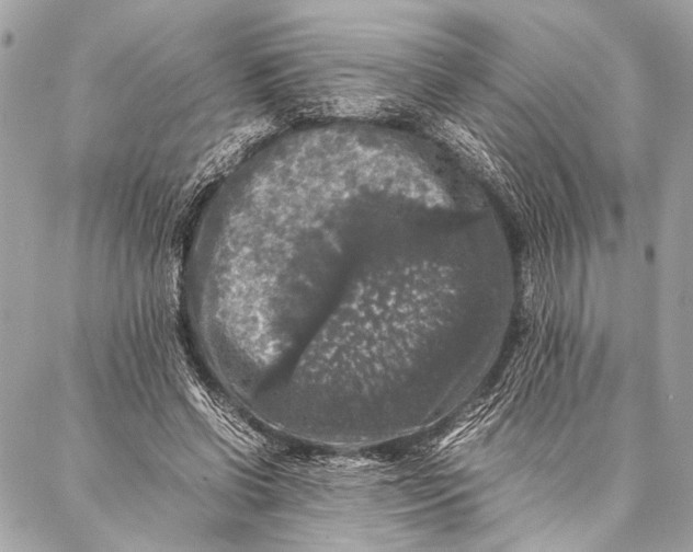 X0000087020542200705071512