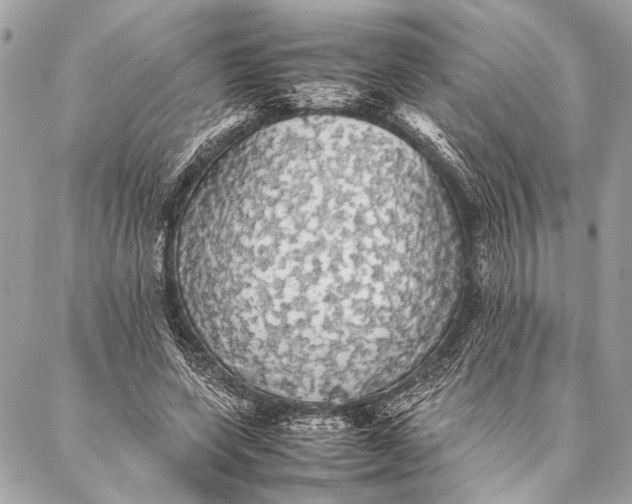 X0000087020543200705071512