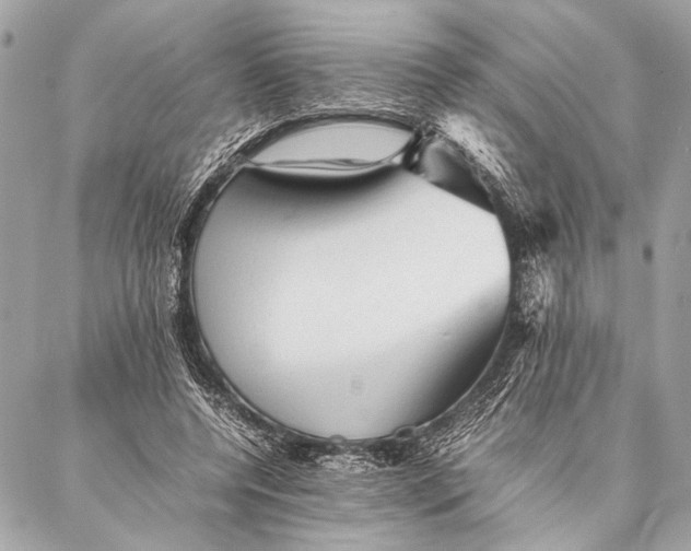 X0000087020544200705071512