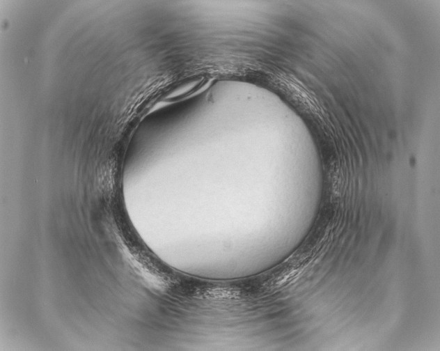 X0000087020546200705071512