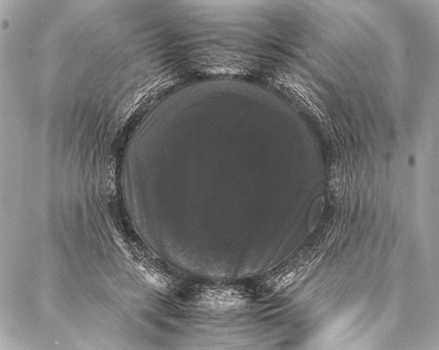 X0000087020547200705071512