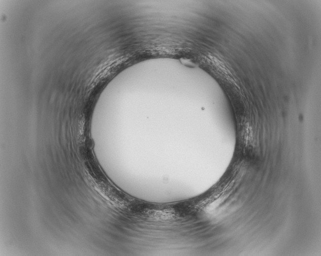 X0000087020548200705071512