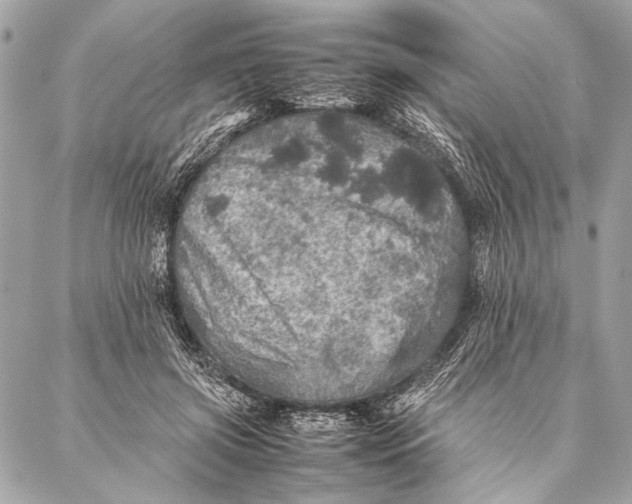 X0000087020549200705071512